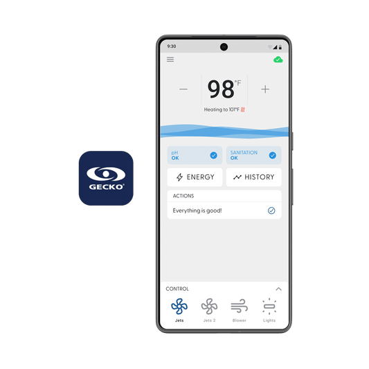 Gecko IN.Touch 3 WiFi Interface Module