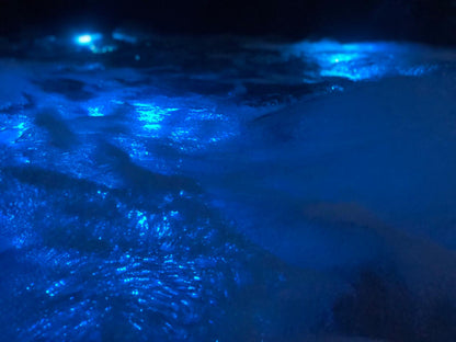 500 Series 13A Plug & Play hot tub by H2O Hot Tubs